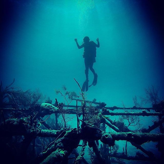 Scuba diving, The LCT Barge or “Thunderball” Wreck, Nassau Paradise Island, The Bahamas