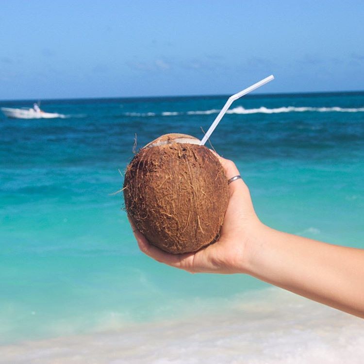 Coconut on the beach in Nassau Paradise Island 