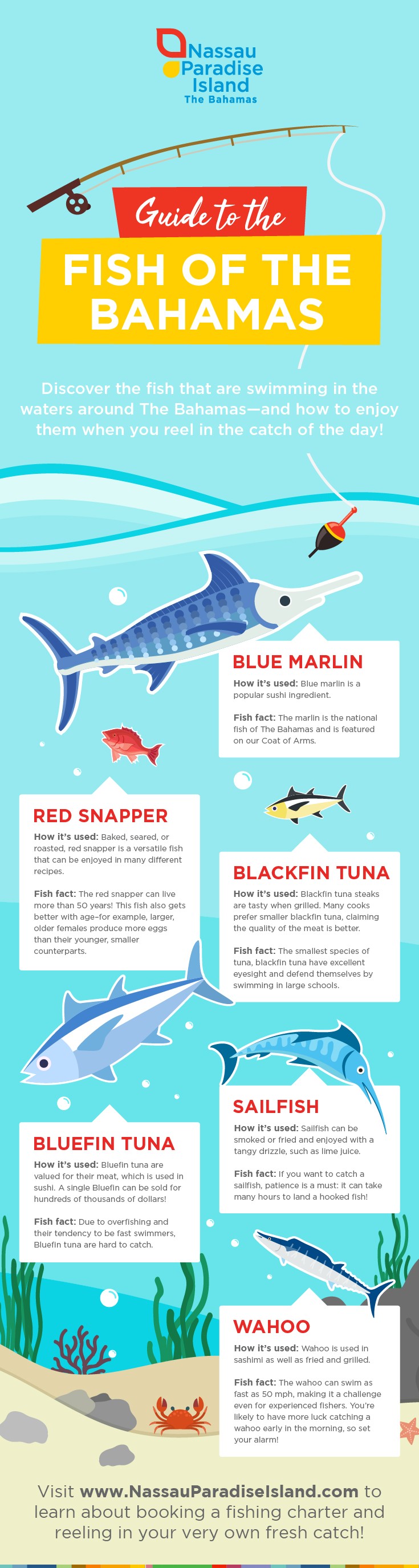 Illustrated infographic of fish species native to The Bahamas