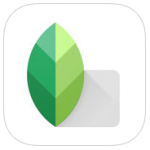 Snapseed Photo Editing App Logo