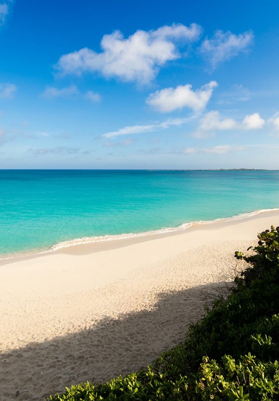 A pristine beach and tropical waters on a sunny day.