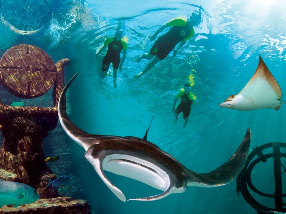 SNORKEL THE RUINS OF ATLANTIS