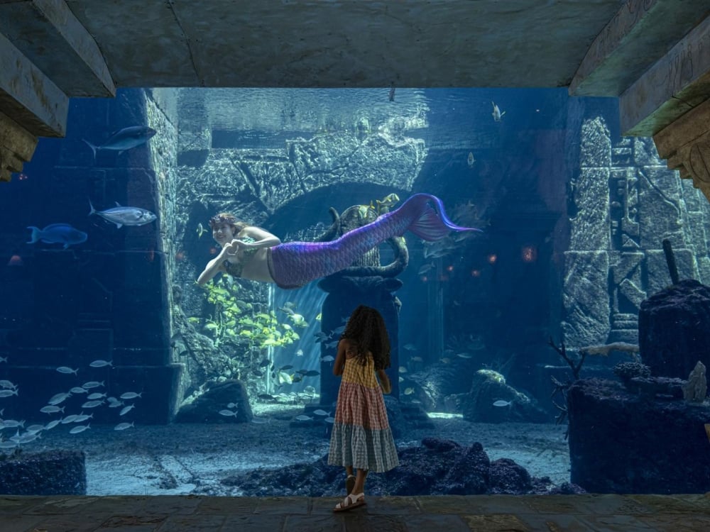 A young girl at Atlantis Paradise Island watching a mermaid swim in a pool