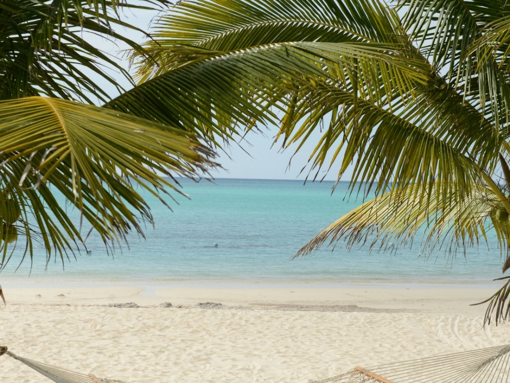 A hammock between two palm trees on a beach in Nassau Paradise Island