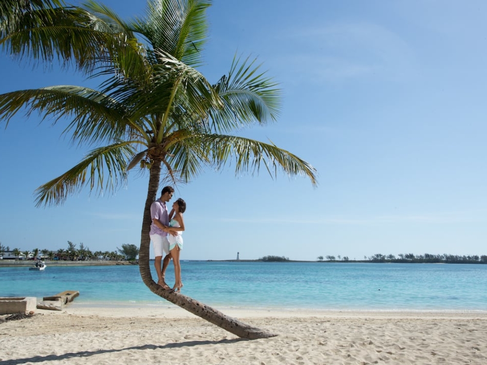 A couple relaxes under the shade of a palm tree on a Bahamas beach