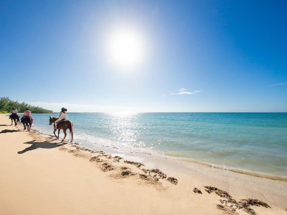 Three guests ride horseback on a beach. 