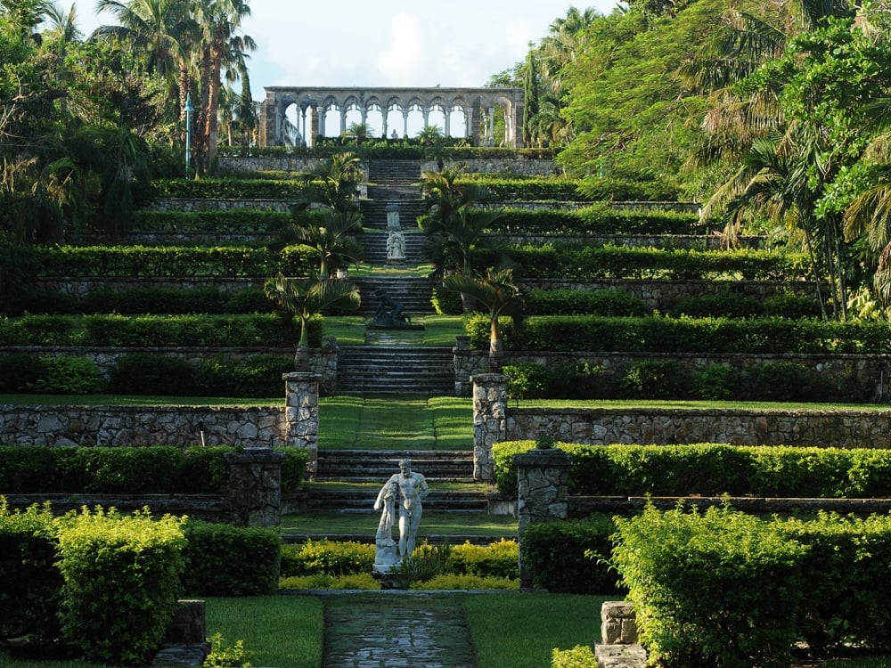 A lush, green garden on a sunny day.