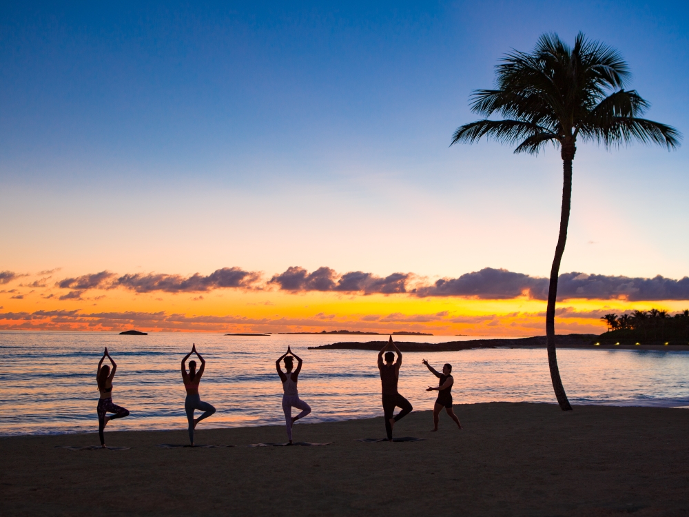 A group of people does yoga on the beach at sunset, under the silhouette of a palm tree. 