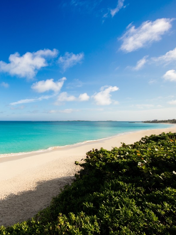 Montagu Beach Nassau Bahamas: A Complete Travel Guide