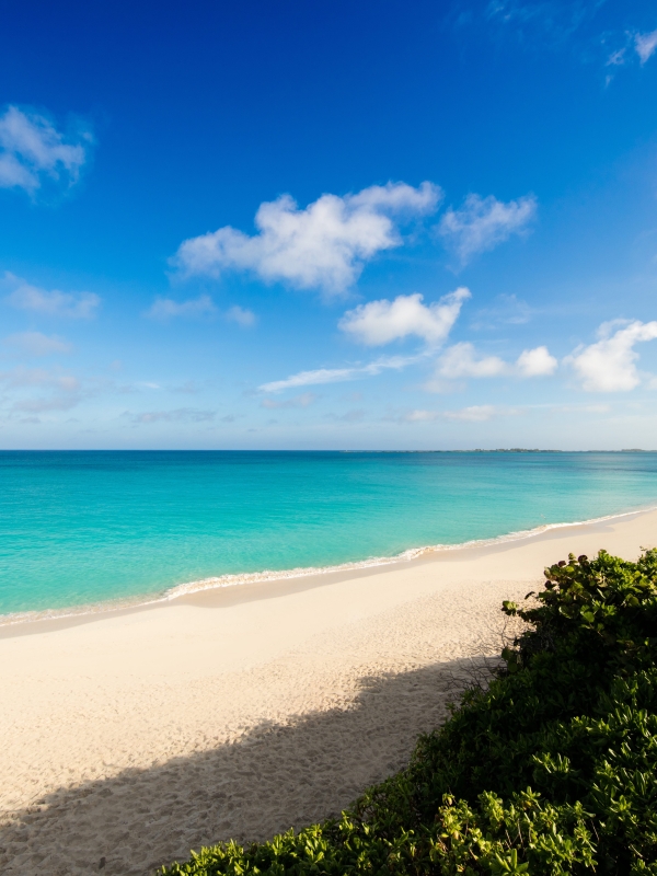 Paradise Island Bahamas Weather: Why Vacation Here